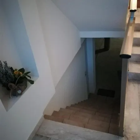 Casa Delle Rose